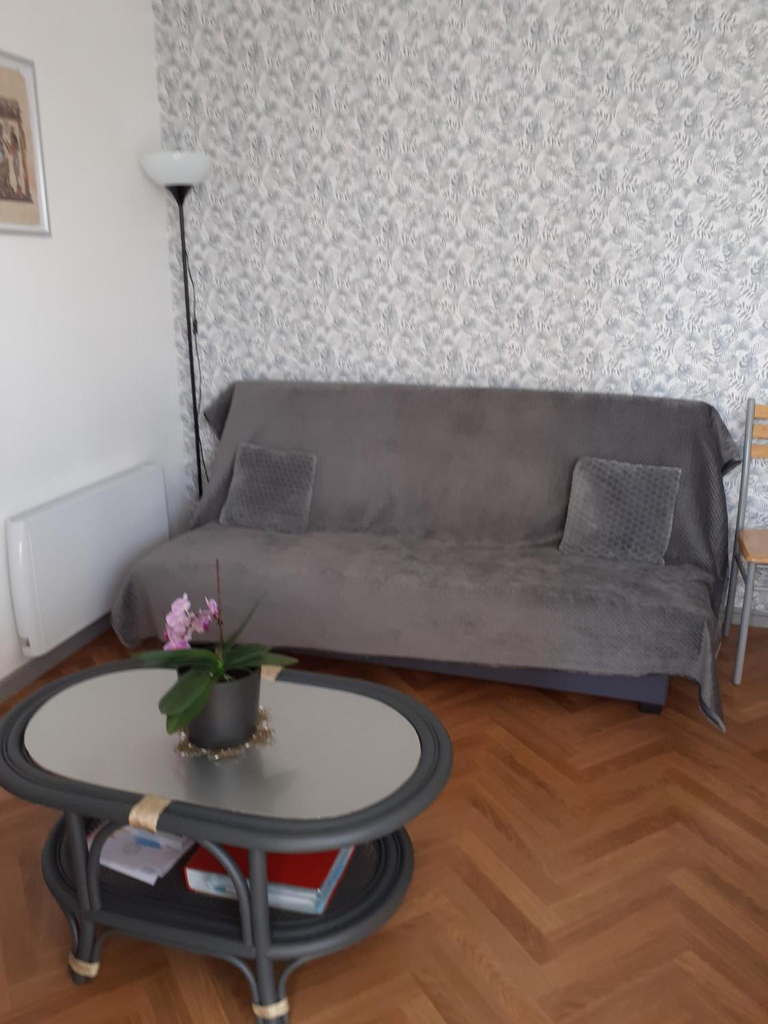 Appartement Pour Famille Amis Ou Colegue Cholet Dış mekan fotoğraf